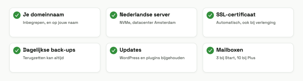 Schema: wat je krijgt bij WordPress hosting met domein — Nederlandse server, SSL, dagelijkse back-ups, updates en mailboxen